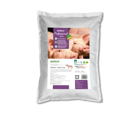 BioAktiv-T-Salis - worek 25 kg